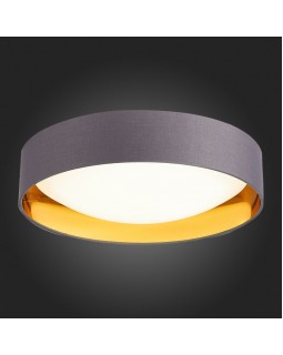 Накладной светильник Evoluce SLE201112-01-foto5