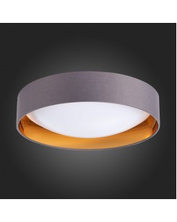 Накладной светильник Evoluce SLE201112-01-foto6