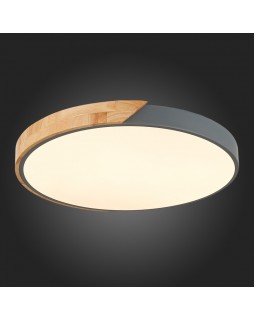 Накладной светильник Evoluce SLE200972-01-foto3