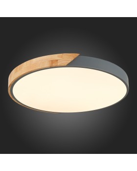 Накладной светильник Evoluce SLE200972-01-foto3