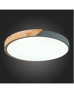 Накладной светильник Evoluce SLE200972-01-foto4