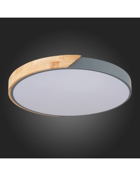 Накладной светильник Evoluce SLE200972-01-foto5