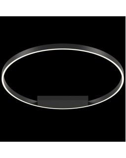 Накладной светильник Maytoni MOD058CL-L50B4K-foto2