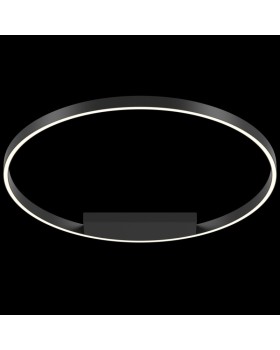 Накладной светильник Maytoni MOD058CL-L50B4K-foto2