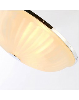 Накладной светильник F-Promo 2753-3C-foto4