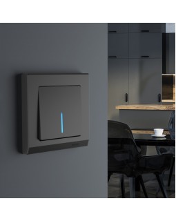 Выключатель Werkel W1110108-foto2