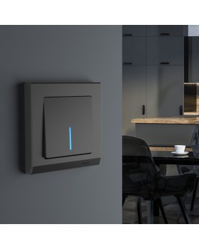 Выключатель Werkel W1110108-foto2