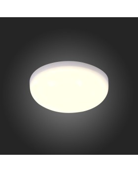 Влагозащищенный светильник ST-Luce ST700.548.08-foto4