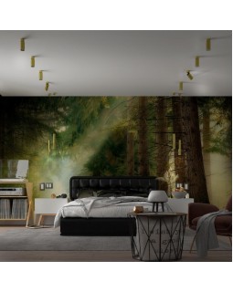 Спот Novotech 370753-foto3