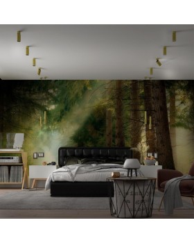 Спот Novotech 370753-foto3