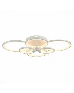 Накладная люстра Evoluce SLE900002-06-foto5