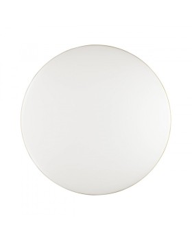 Накладной светильник Sonex 3043/CL-foto4