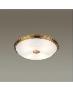 Накладной светильник Odeon Light 4956/4-foto3