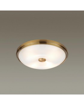Накладной светильник Odeon Light 4956/4-foto3