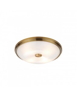 Накладной светильник Odeon Light 4956/4-foto4