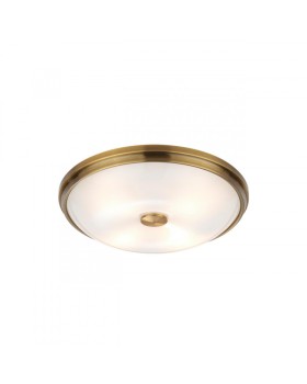 Накладной светильник Odeon Light 4956/4-foto4