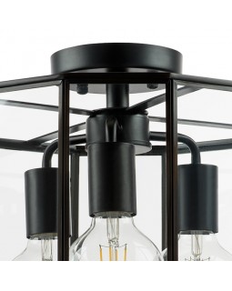 Люстра на штанге Lightstar 798237-foto3
