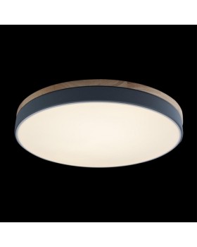 Накладной светильник LOFT IT 10001/36 Grey-foto3