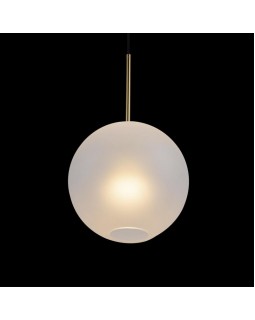 Подвесной светильник LOFT IT 2030-P1-foto3