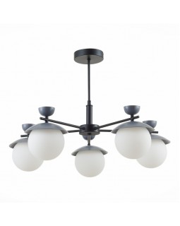 Люстра на штанге Evoluce SLE220202-05-foto2
