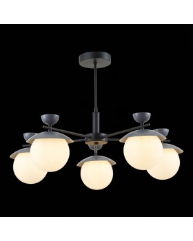 Люстра на штанге Evoluce SLE220202-05-foto4