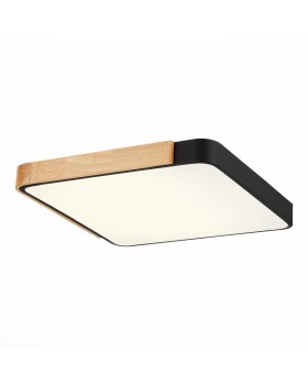 Накладной светильник Evoluce SLE201242-01-foto2