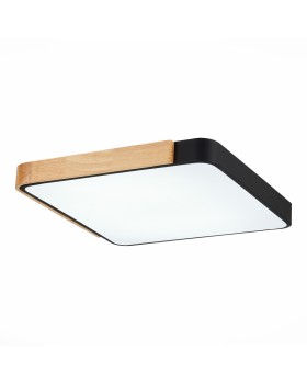 Накладной светильник Evoluce SLE201242-01-foto3