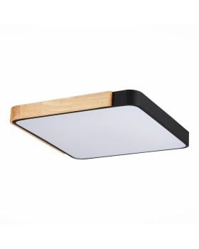 Накладной светильник Evoluce SLE201242-01-foto4