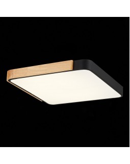 Накладной светильник Evoluce SLE201242-01-foto6