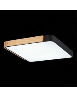 Накладной светильник Evoluce SLE201242-01-foto7