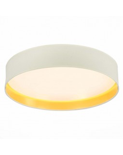 Накладной светильник Evoluce SLE300552-01-foto2