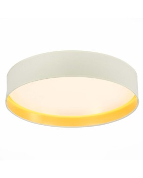 Накладной светильник Evoluce SLE300552-01-foto2