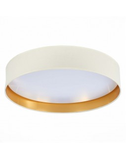 Накладной светильник Evoluce SLE300552-01-foto4