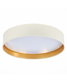 Накладной светильник Evoluce SLE300552-01-foto4