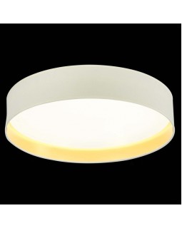 Накладной светильник Evoluce SLE300552-01-foto5