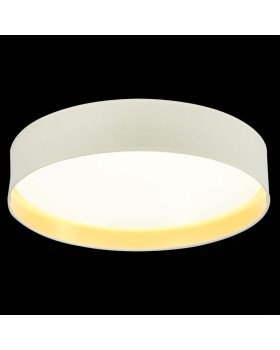 Накладной светильник Evoluce SLE300552-01-foto5