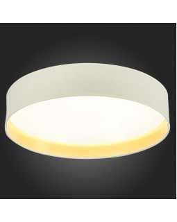 Накладной светильник Evoluce SLE300552-01-foto6