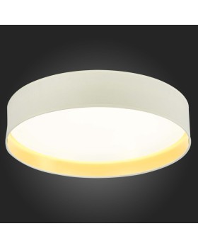 Накладной светильник Evoluce SLE300552-01-foto6