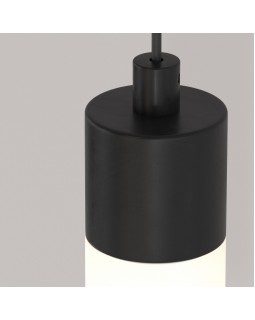 Подвесной светильник Maytoni Technical P022PL-L10B-foto2