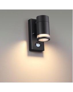 Светильник настенный Odeon Light 6605/1W-foto3