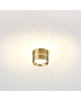 Накладной светильник Odeon Light 6607/1C-foto2