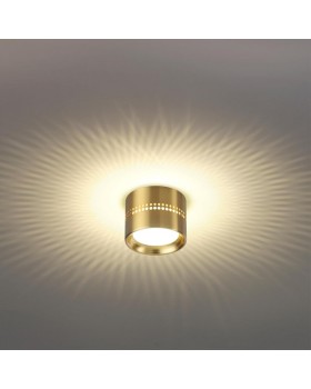 Накладной светильник Odeon Light 6607/1C-foto3