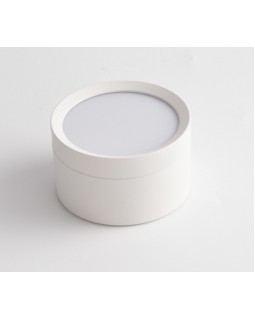 Накладной светильник Maytoni Technical C086CL-GX53-SRD-W-foto2