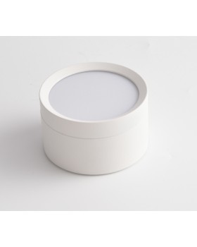 Накладной светильник Maytoni Technical C086CL-GX53-SRD-W-foto2
