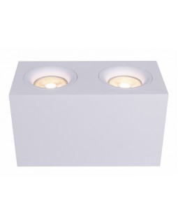 Накладной светильник Maytoni Technical C013CL-02W-foto2