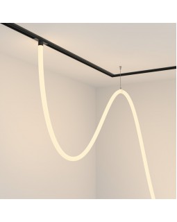 Светильник на шине Maytoni Technical TR101-2-100W3K-B-foto2