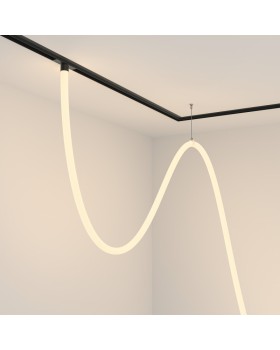 Светильник на шине Maytoni Technical TR101-2-100W3K-B-foto2