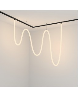 Светильник на шине Maytoni Technical TR101-2-100W3K-B-foto5