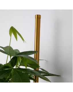 Бра Favourite 4050-2W-foto2