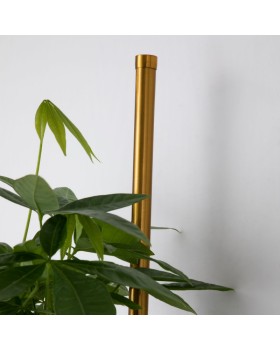 Бра Favourite 4050-2W-foto2